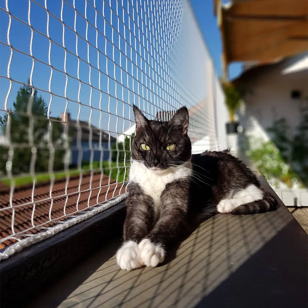 kedi balkon filesi yan gorsel