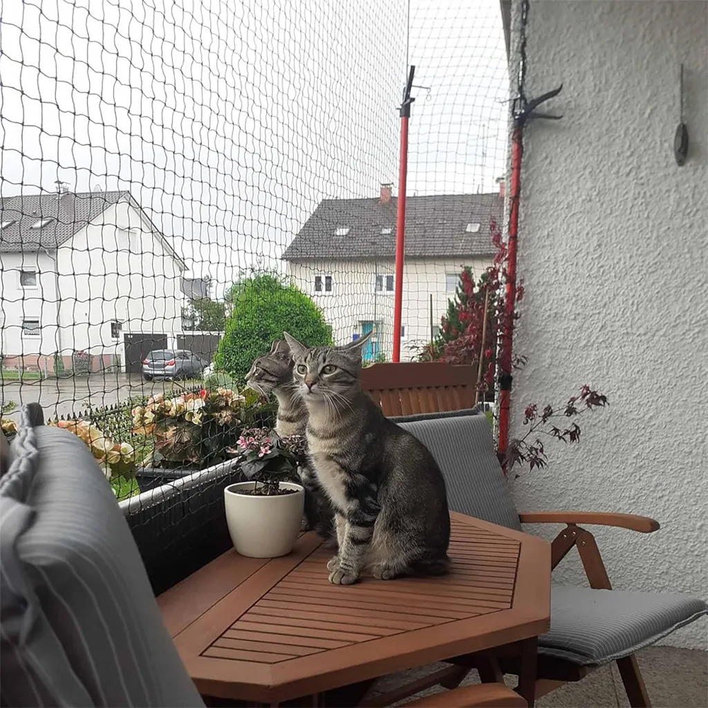 kums kedi balkon filesi ana gorsel