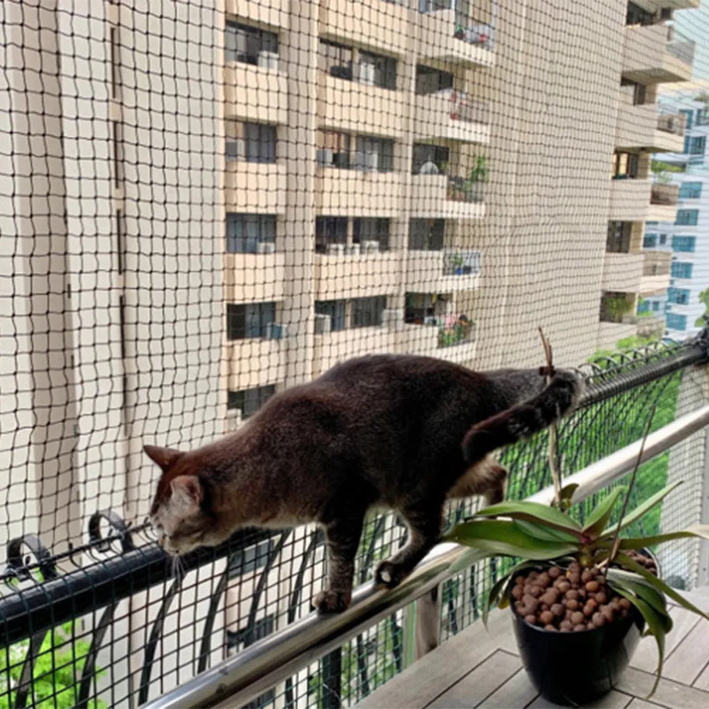 kumsfile kedi balkon filesi gorsel