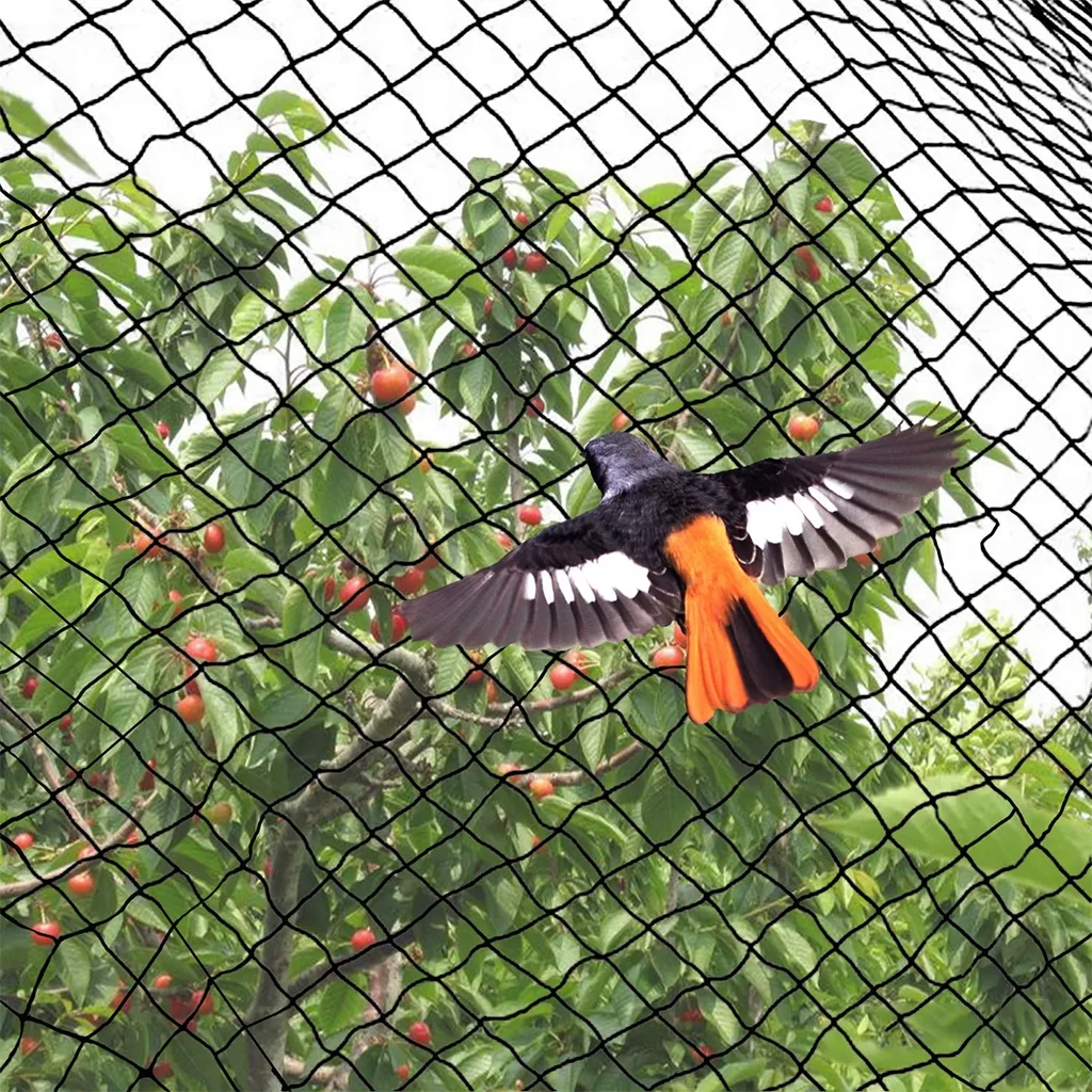 kumsfile kus koruma filesi gorseli