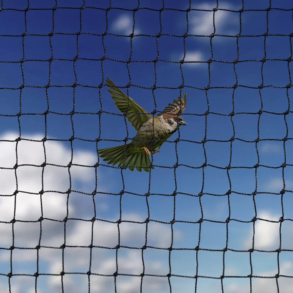 kus koruma filesi ana gorsel